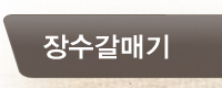 장수갈매기